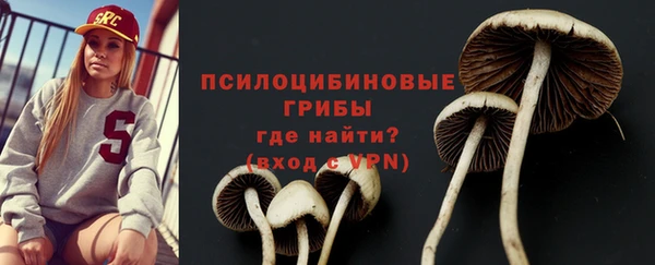 ECSTASY Абаза