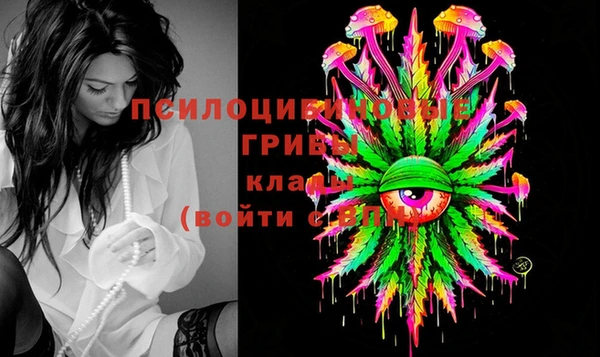ПСИЛОЦИБИНОВЫЕ ГРИБЫ Абдулино